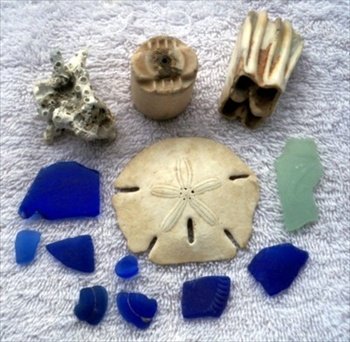 Pieces of blue sea glass, a piece of coral, ceramic insulator, teeth & piece of Coke bottle