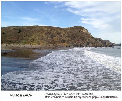 Muir Beach California