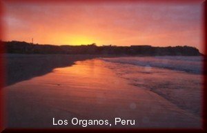 Los Organos sunset niche story build a niche website