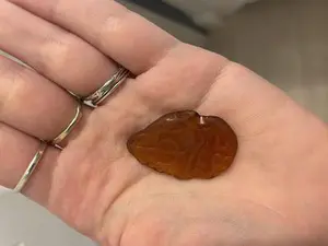 Newport mystery sea glass with B