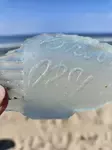 June 2025, South Beach, Buxton, NC