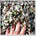 Sea Glass - Finding, collecting, sorting