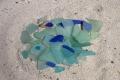 Michigan Sea Glass