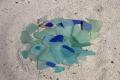 Michigan Sea Glass