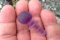 Purple Sea Glass