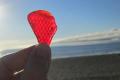 California Sea Glass