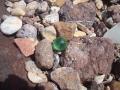 Sea Glass Mexico