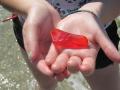 Rare colors in sea glass and beach finds