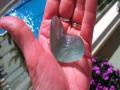 Sea Glass Mexico