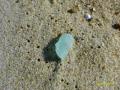 Sea Glass Virginia