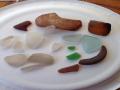 Sea Glass Delaware Beaches