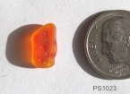 sea glass newsletter orange