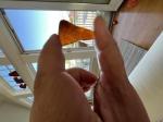 1/4” thick; curved sea glass