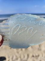 June 2025, South Beach, Buxton, NC