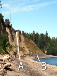 Port Angeles Landfill