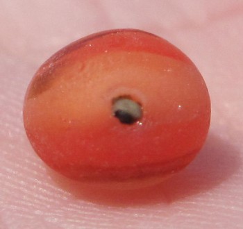 Lin's orange sea glass bead