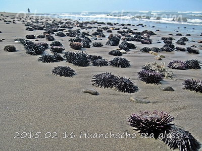 Catch of the day sea glass huanchaco peru south america bluish