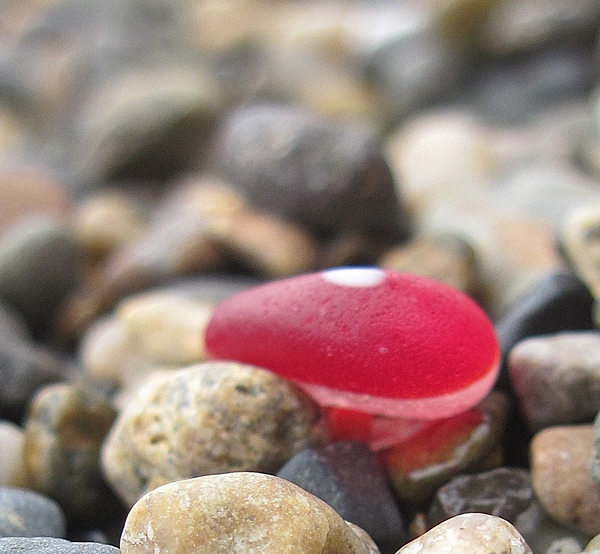 red and white layered sea glass two-tone