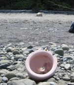 Sea Glass Dump Beach Toilet