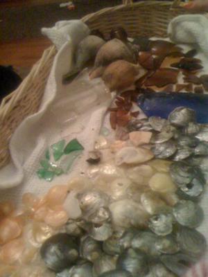 Milford, CT sea glass