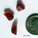 Red Sea Glass