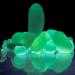 sea glass photo contest gallery