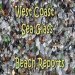 West Coast Sea Glass