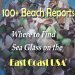 Sea Glass - Finding, collecting, sorting