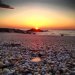 sea glass photo contest gallery