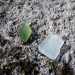 Sea Glass