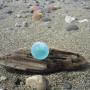 sea glass photo contest gallery