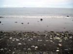 Sea Glass Dump Beach Toilet