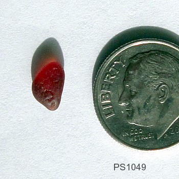 For Sale Red Sea Glass