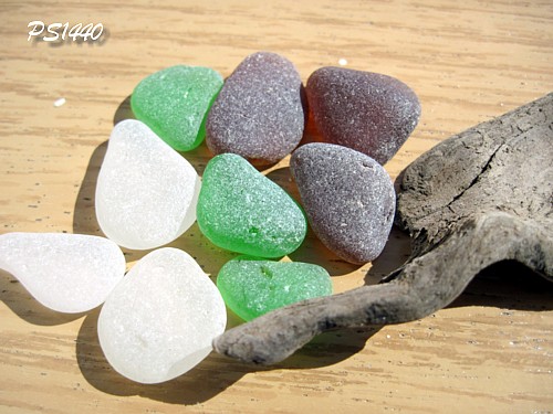 Sea Glass and Driftwood, Washington State, Olympic Peninsula