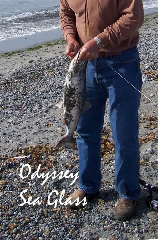 Beach Summer on Whidbey Island catching salmon