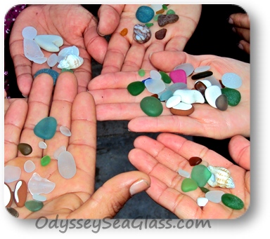 Discover the Top 12 Rarest Sea Glass Colors - A-Z Animals