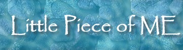 Little Piece of ME - Belfast, Maine Sea Glass