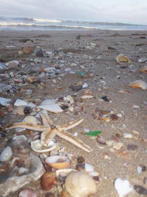 Bounty on the Beach - August 2012 Sea Glass Photo Contest