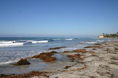 Cardiff State Beach sea glass?