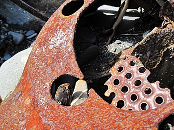 cemetery beach finds beachcombing