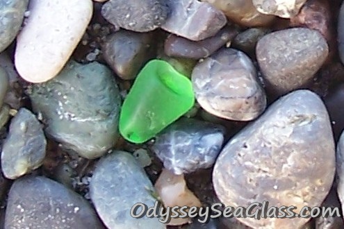 Medium Green Sea Glass