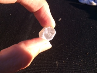 Sea Glass or worn shell? 