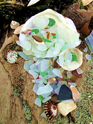 Alki Beach, Seattle - Sea Glass Catch