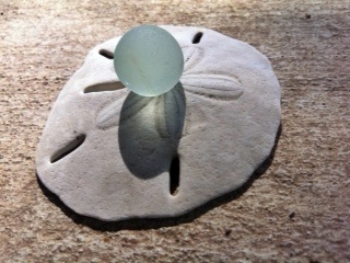 Midday Surprise - WINNER of the August 2014 Sea Glass photo contest