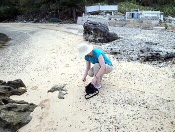 She Sells Sea Glass Hobart Tasmania Australia