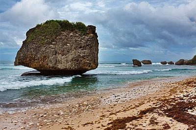 Barbados's Beautiful and Productive Beaches :)