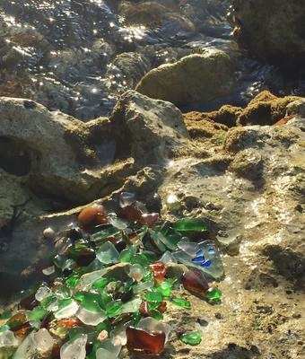 The days finds laying on the rock in a bit of water making them so beautiful. 