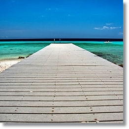 Tropical Beach Background Pier