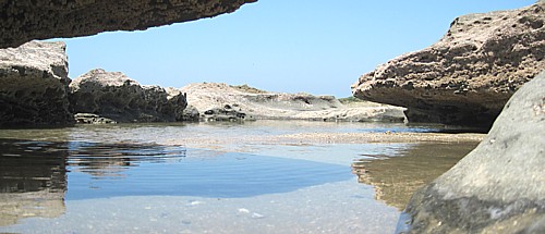 tide pool at Los Organos Beach Peru for newsletter