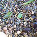 spring green sea glass